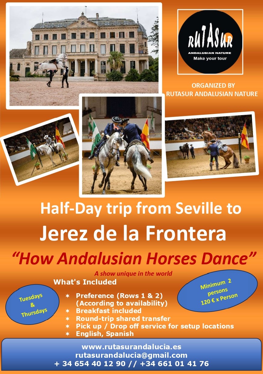 Jerez de la Frontera