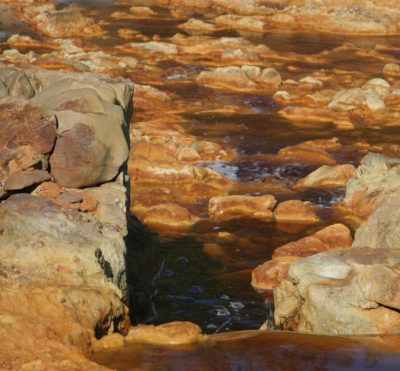 Excursiones por Andalucía